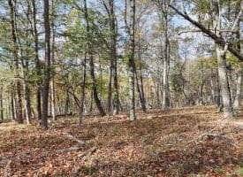 1232 Croston Rd, Paw Paw, WV 25434