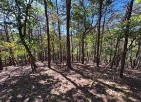 7313 Little Cacapon Rd, Romney, WV 26757