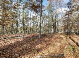 1232 Croston Rd, Paw Paw, WV 25434