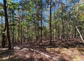 7313 Little Cacapon Rd, Romney, WV 26757
