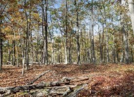 1232 Croston Rd, Paw Paw, WV 25434