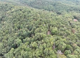 199 Butera Ridge Rd, Moorefield, WV 26836