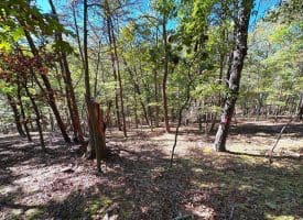 7313 Little Cacapon Rd, Romney, WV 26757