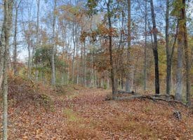 1232 Croston Rd, Paw Paw, WV 25434