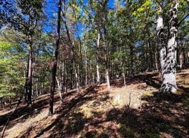 7313 Little Cacapon Rd, Romney, WV 26757