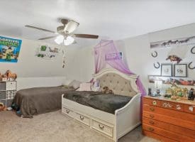 1251 Delray Rd, Augusta, WV 26704