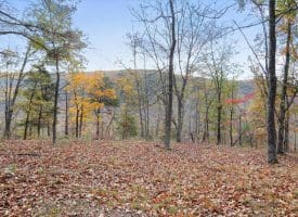 1232 Croston Rd, Paw Paw, WV 25434