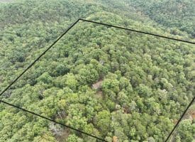 199 Butera Ridge Rd, Moorefield, WV 26836