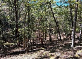 7313 Little Cacapon Rd, Romney, WV 26757