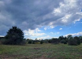 7.38 Ac Tract 2, Levels, WV 25431