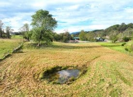 1.50 Ac Hickory Hill Rd, Purgitsville, WV 26852