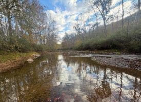 1232 Croston Rd, Paw Paw, WV 25434