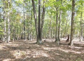 Lot 14 Deep Run Hollow, Delray, WV 26714