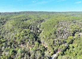 7313 Little Cacapon Rd, Romney, WV 26757