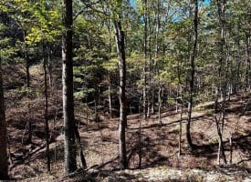 7313 Little Cacapon Rd, Romney, WV 26757