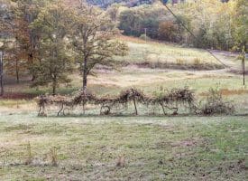 13910 Old Oldtown Rd SE, Oldtown, MD 21555