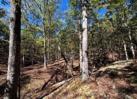 7313 Little Cacapon Rd, Romney, WV 26757