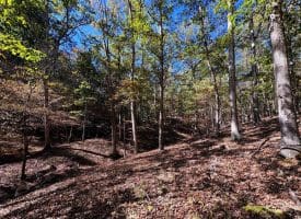 7313 Little Cacapon Rd, Romney, WV 26757
