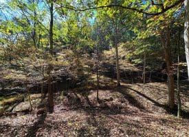 7313 Little Cacapon Rd, Romney, WV 26757