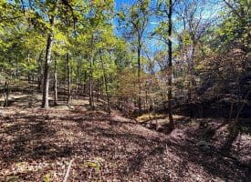 7313 Little Cacapon Rd, Romney, WV 26757