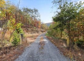 1232 Croston Rd, Paw Paw, WV 25434
