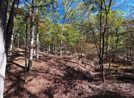 7313 Little Cacapon Rd, Romney, WV 26757