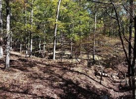 7313 Little Cacapon Rd, Romney, WV 26757