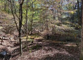 7313 Little Cacapon Rd, Romney, WV 26757