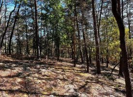7313 Little Cacapon Rd, Romney, WV 26757
