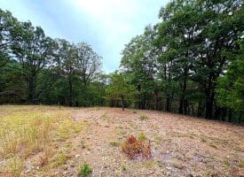 3.64 Ac White Oak Crossing Rd, Moorefield, WV 26836