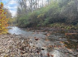 1232 Croston Rd, Paw Paw, WV 25434