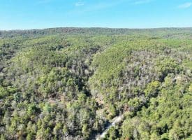 7313 Little Cacapon Rd, Romney, WV 26757