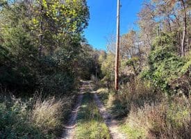7313 Little Cacapon Rd, Romney, WV 26757
