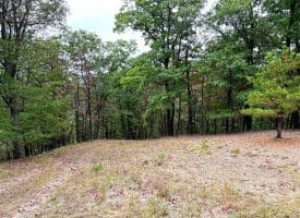 3.64 Ac White Oak Crossing Rd, Moorefield, WV 26836