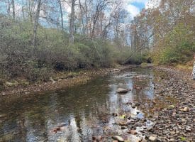 1232 Croston Rd, Paw Paw, WV 25434