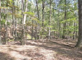 Lot 14 Deep Run Hollow, Delray, WV 26714