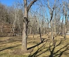 102 Dry Run Rd, Burlington, WV 26710