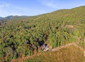 1251 Delray Rd, Augusta, WV 26704