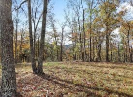 1232 Croston Rd, Paw Paw, WV 25434
