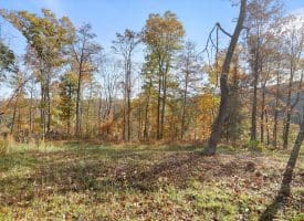1232 Croston Rd, Paw Paw, WV 25434