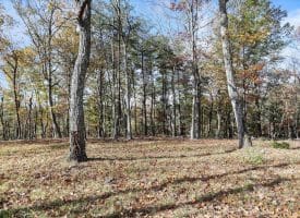 1232 Croston Rd, Paw Paw, WV 25434