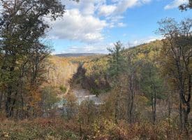 1232 Croston Rd, Paw Paw, WV 25434