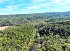 7313 Little Cacapon Rd, Romney, WV 26757