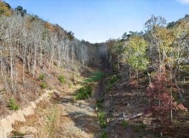 1232 Croston Rd, Paw Paw, WV 25434