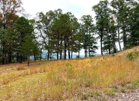 3.64 Ac White Oak Crossing Rd, Moorefield, WV 26836