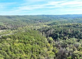 7313 Little Cacapon Rd, Romney, WV 26757