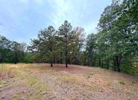3.64 Ac White Oak Crossing Rd, Moorefield, WV 26836