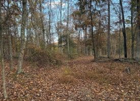 1232 Croston Rd, Paw Paw, WV 25434