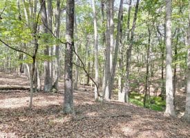 Lot 14 Deep Run Hollow, Delray, WV 26714