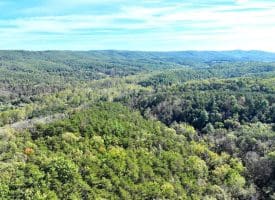7313 Little Cacapon Rd, Romney, WV 26757